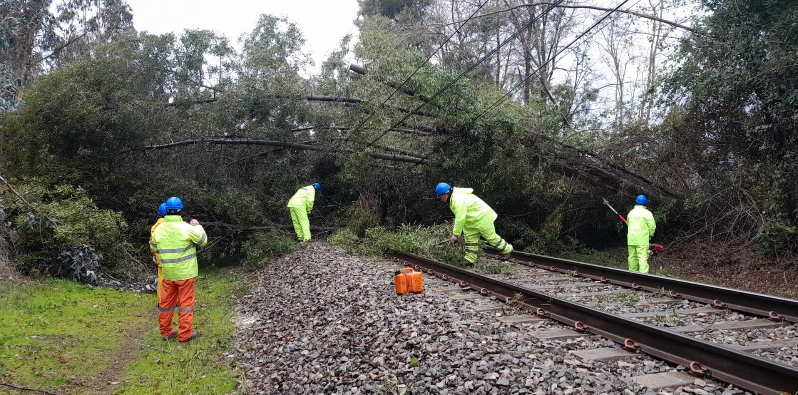 EFE Central informa actualización de sus servicios y retoma gradualmente los itinerarios de Tren Rancagua